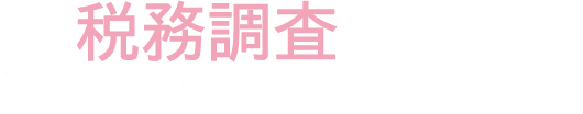 税務調査　東京　千葉　女性　無申告　脱税　税務署　税理士
