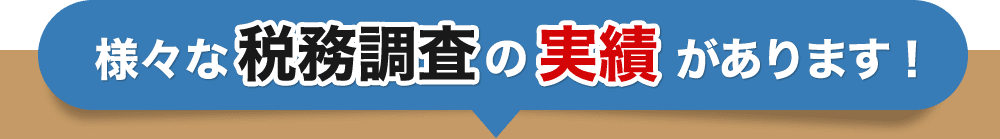 税務調査 東京 千葉 女性 無申告 脱税 税務署 税理士