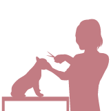 税務調査　東京　千葉　女性　無申告　脱税　税務署　税理士