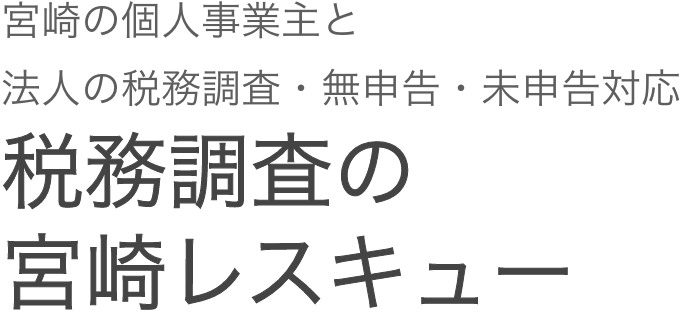 税務調査 東京 千葉 女性 無申告 脱税 税務署 税理士